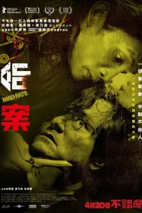 Смотреть  Провидец  